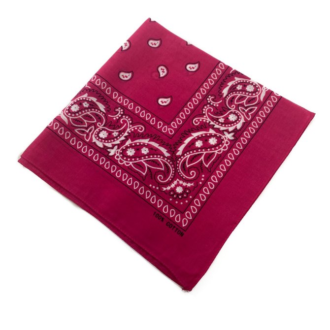 BANDANA-Hot Pink Paisley