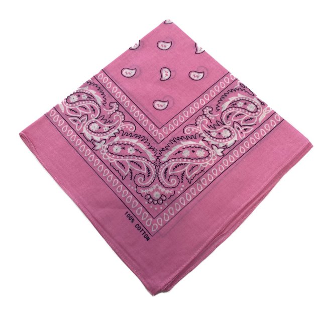 BANDANA-Light Pink Paisley