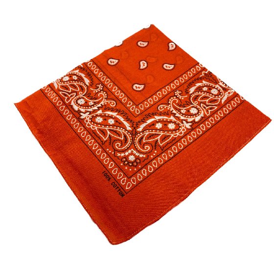 BANDANA-Orange Paisley