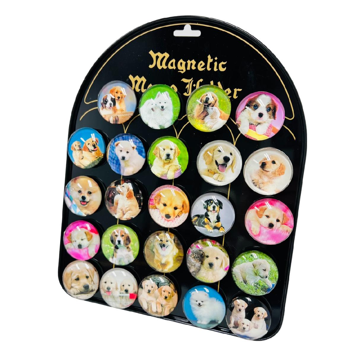 ''1.5'''' Round Dome Magnets [DOGs] with Display Board''