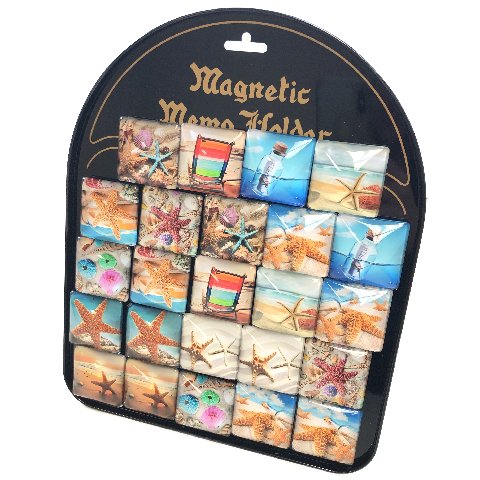 ''1.5''''x1.5'''' Square Glass Magnet [Seashells] with DISPLAY Board''