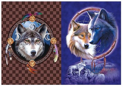 3D Picture 9701--Wolves with DREAM CATCHERs