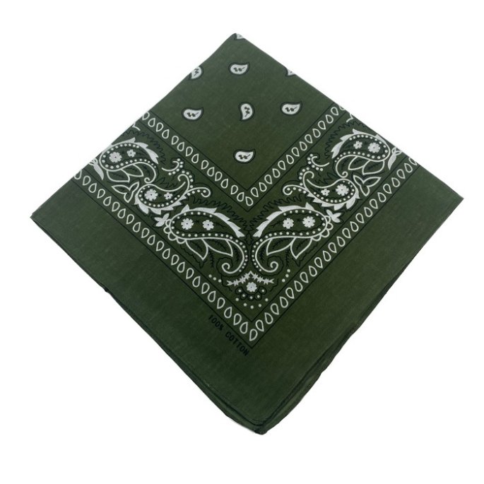 BANDANA-Hunter Green Paisley