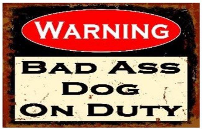 ''16''''x12'''' Metal Sign- Warning: Bad Ass Dog on Duty''