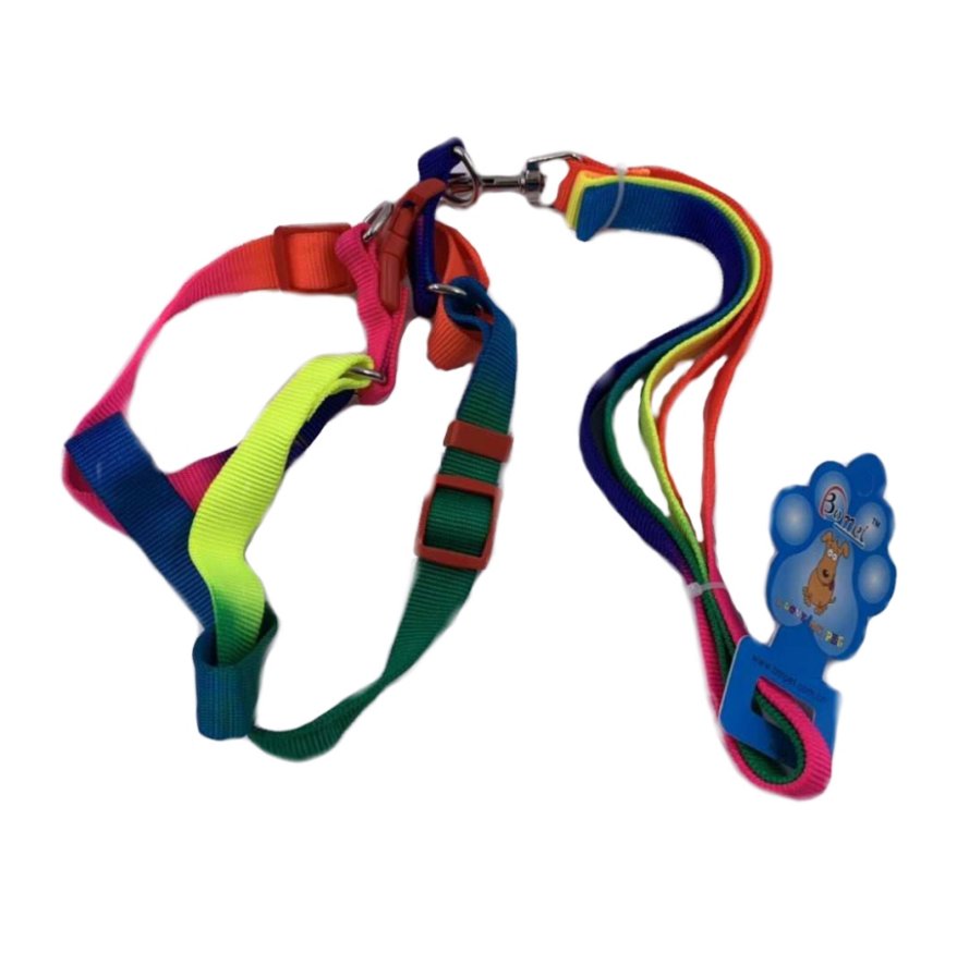 ''Rainbow DOG Harness with 48'''' Leash [Small-Wide]''