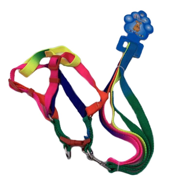 ''Rainbow DOG Harness with 48'''' Leash [Small-Thin]''