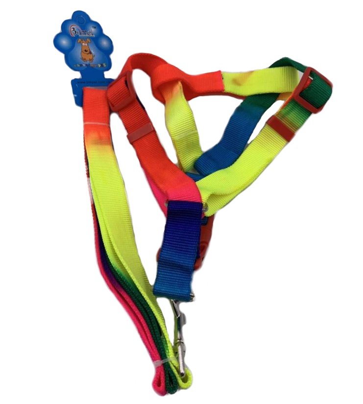 ''Rainbow DOG Harness with 48'''' Leash [Medium-Wide]''