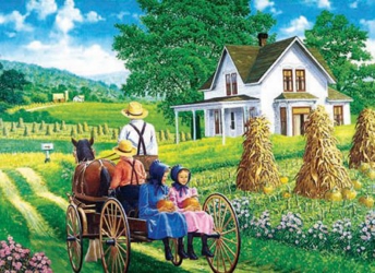 3D Picture 9595--Amish Family