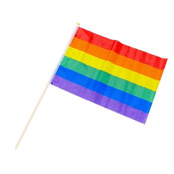 12"x18" Stick Flag [Rainbow Flag]