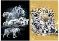 3D Picture 9706--White Tigers