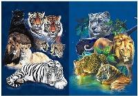 3D Picture 9711--Wild Cats