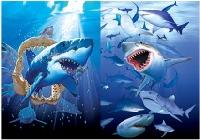 3D Picture 9727--Sharks