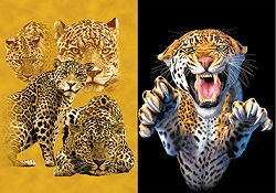 3D Picture 9742--Leopard Family/Pouncing Leopard