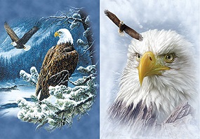 3D Picture 9754--Snowy Eagles