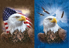 3D Picture 9755--Patriotic Eagle/Soaring Eagles