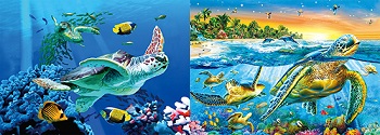3D Picture 9762--Sea Turtles