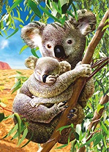 3D Picture 9773--Koalas