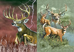 3D Picture 9778--Buck with Lightning/3 Bucks