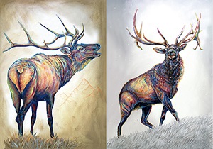 3D Picture 9806--Elk