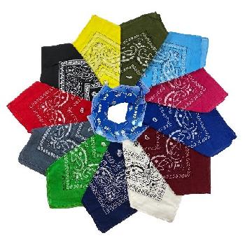 Bandanas-Assorted  Paisley with Hang Tag