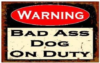 16"x12" Metal Sign- Warning: Bad Ass Dog on Duty