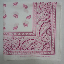 Bandana-White with Pink Paisley