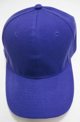 Solid Purple Ball Cap - Solid Color Only