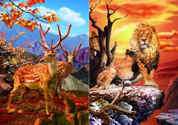 3D Picture 9559--Lion on Rock/Axis Deer