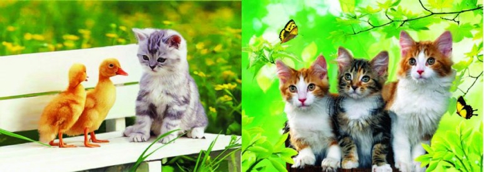 3D Picture 9571--Three Kittens/Kitten with Duckies
