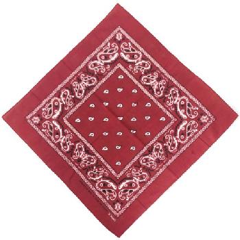 Bandana-Dark Red Paisley