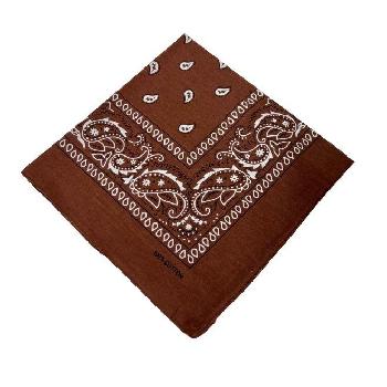 Bandana-Brown Paisley