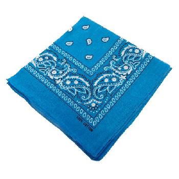 Bandana-Light Blue Paisley