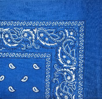 Bandana- Teal Paisley