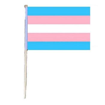 12"x18" Stick Flag [Trans Pride]