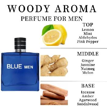 3.4oz Men's Eau de Parfum [Blue Men]