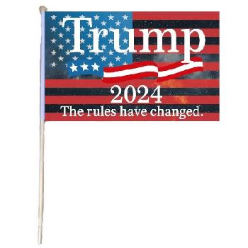 12"X18" Stick Flag The Rules Have Changed