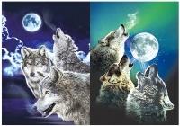 3D Picture 9704--Three Howling Wolves with Moon