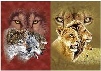 3D Picture 9715--Wolf Profile/Lion-Tiger Profile