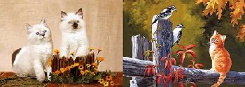 3D Picture 9737--White Cats/Orange Cat