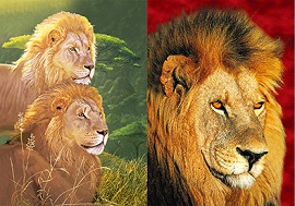 3D Picture 9740--Double Lion/Single Lion