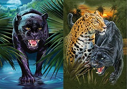 3D Picture 9741--Black Panther/Cheetah w Panther