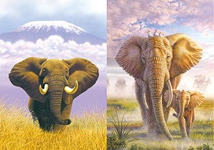 3D Picture 9752--One Elephant/Two Elephants