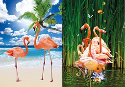 3D Picture 9756--Flamingos