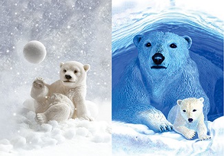 3D Picture 9761--Polar Bear Cub/Polar Bear Mama & Cub