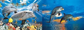 3D Picture 9763--Dolphins w Tropical Fish/Dolphins Jumping
