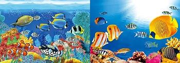 3D Picture 9765--Tropical Fish with Coral