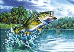 3D Picture 9767--Jumping Bass