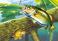 3D Picture 9768--Bass in Water