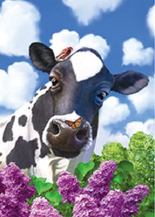 3D Picture 9775--Cow with Butterfly