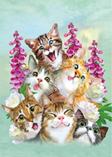3D Picture 9805--Six Happy Kittens